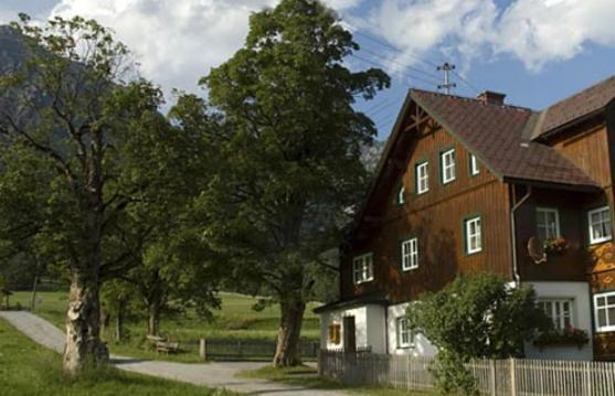 Appartements Wieseneck - Ramsau Am Dachstein - Inklusive Sommercard ! Рамзау-ам-Дахштайн Екстер'єр фото
