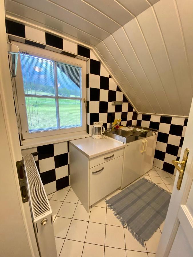 Appartements Wieseneck - Ramsau Am Dachstein - Inklusive Sommercard ! Рамзау-ам-Дахштайн Екстер'єр фото