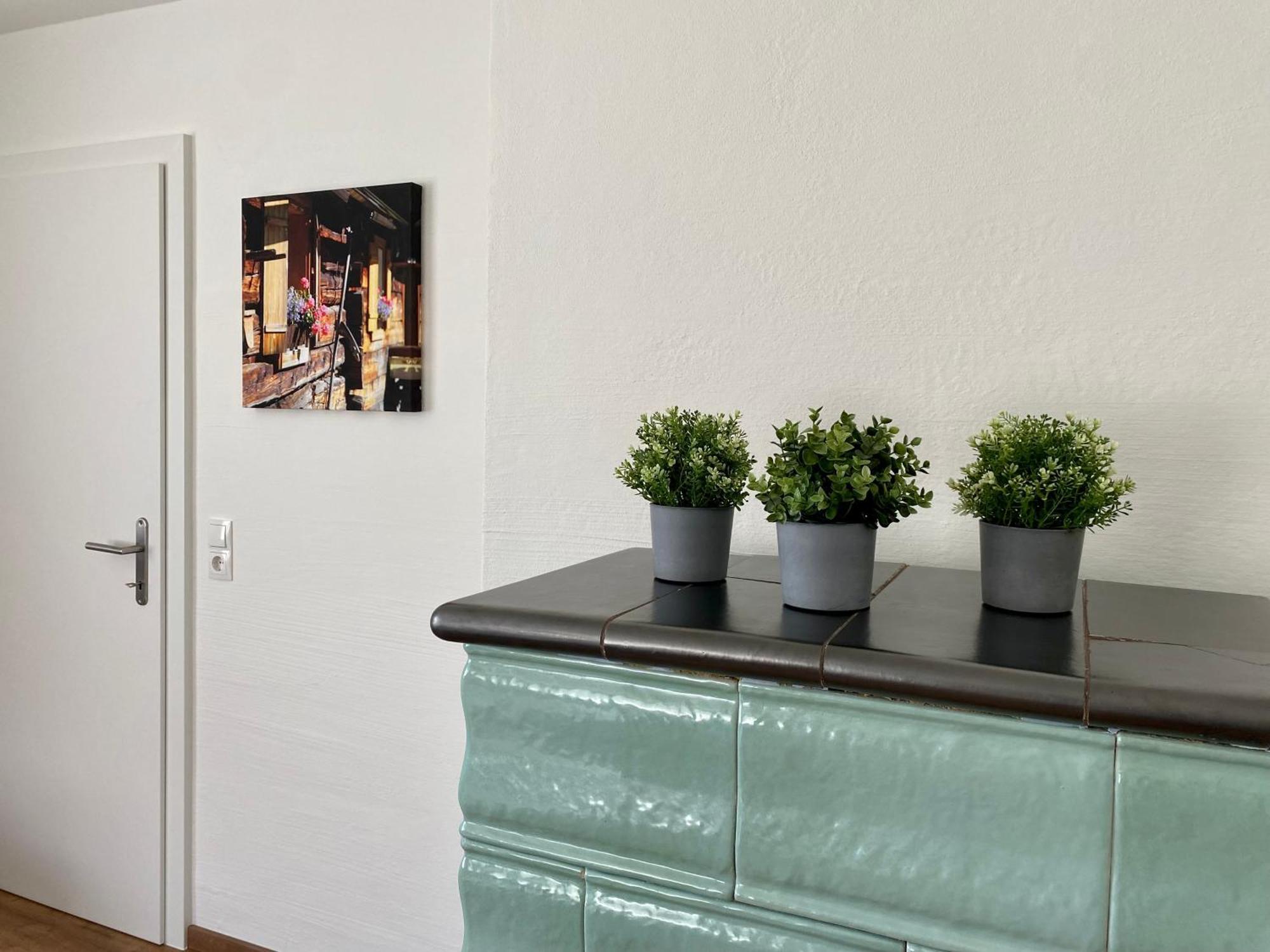 Appartements Wieseneck - Ramsau Am Dachstein - Inklusive Sommercard ! Рамзау-ам-Дахштайн Екстер'єр фото