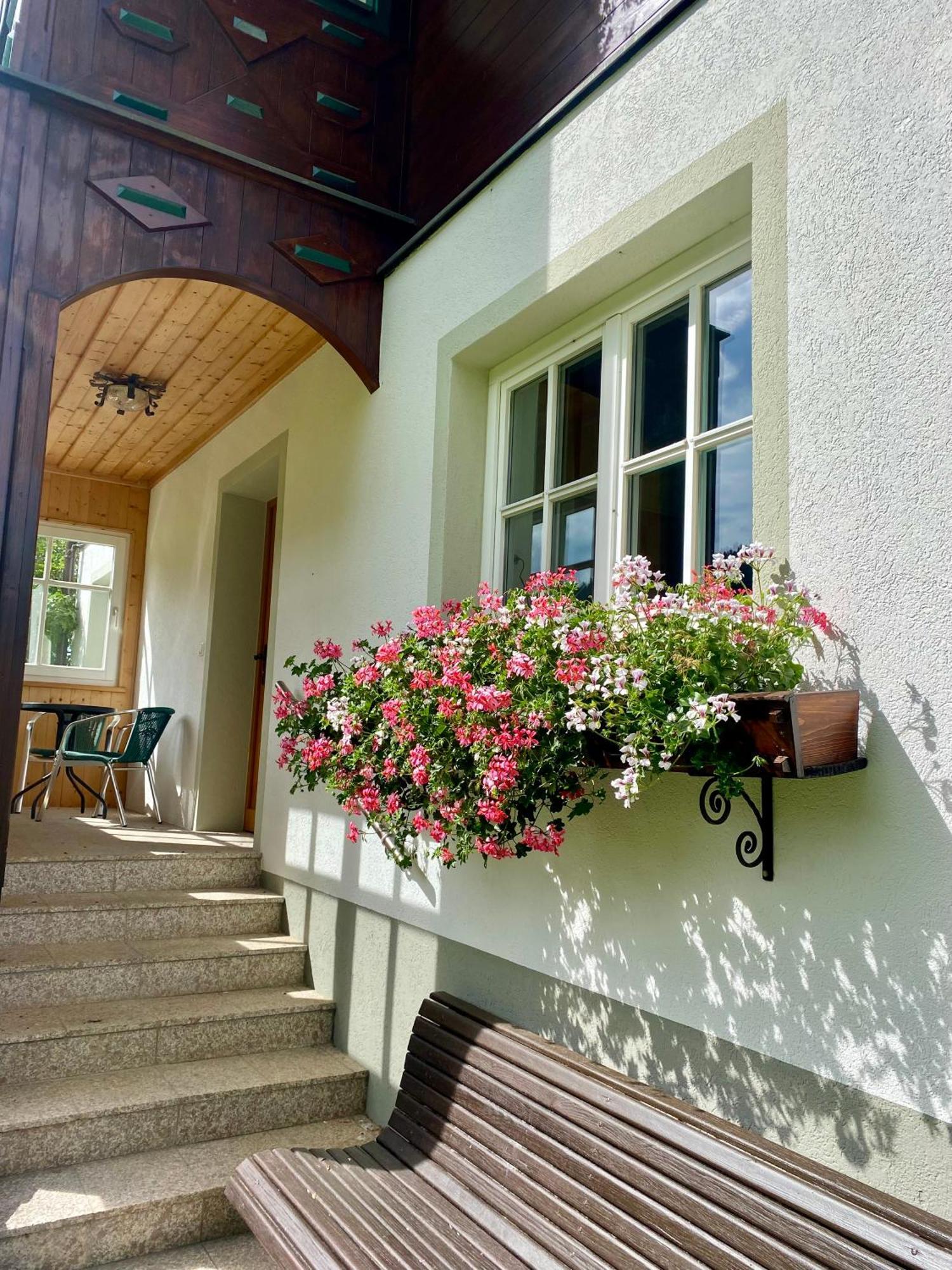 Appartements Wieseneck - Ramsau Am Dachstein - Inklusive Sommercard ! Рамзау-ам-Дахштайн Екстер'єр фото
